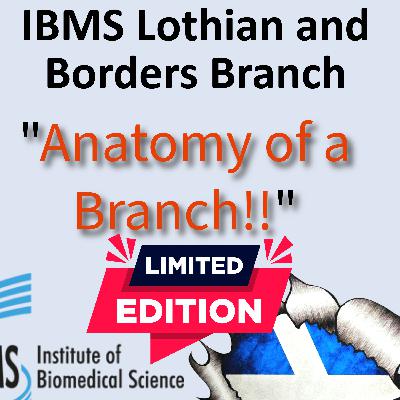 Ep. 12 - Special edition "anatomy of a branch" Ep. 12 - Special edition "anatomy of a branch"