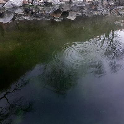 Relief your stress with Nature's Frequency, Gratitude! • a healing and feeling journey Relief your stress with Nature's Frequency, Gratitude! • a healing and feeling journey