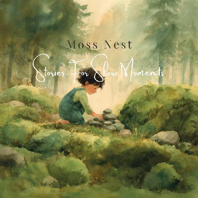 Moss Nest | A Forest Story About Small Wonders Moss Nest | A Forest Story About Small Wonders
