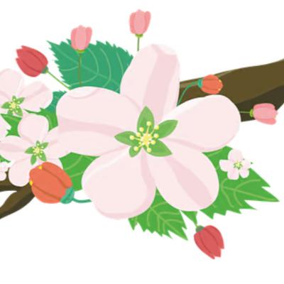 De trotse kleine appelbloesem De trotse kleine appelbloesem