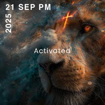 Activated. Activated.