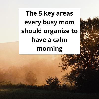 The 5 key areas every busy mom should organize to have a calm morning