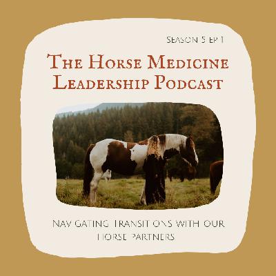 Navigating Transitions with our Horse Partners. Navigating Transitions with our Horse Partners.