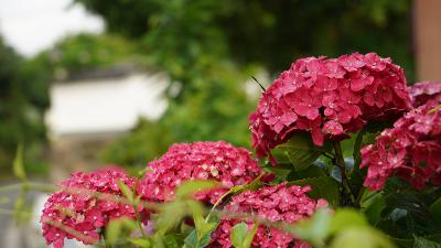 よひら(オリジナル曲) from Radiotalk よひら(オリジナル曲) from Radiotalk