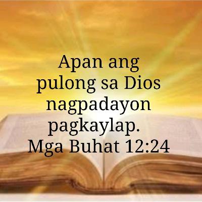 Buhat Kapitulo 12 Pasidunggi ang Dios