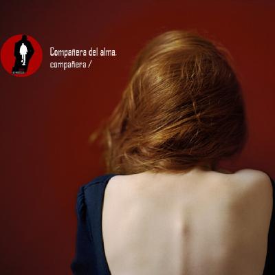 Compañera del alma, compañera