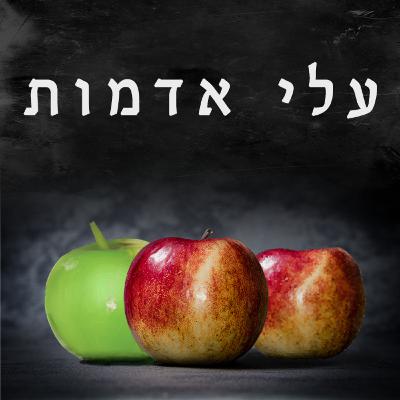 טיזר לפרק הראשון של מעבר - עלי אדמות