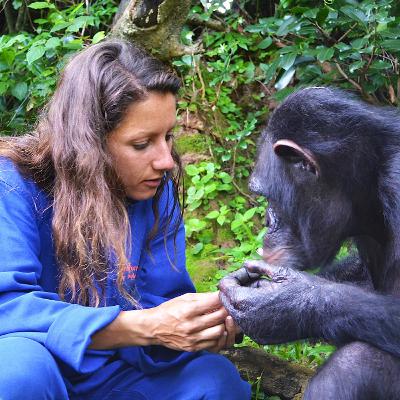 CHIMPANSEES EN BOMEN PLANTEN. WAT DOET HET JANE GOODALL INSTITUUT NEDERLAND?
