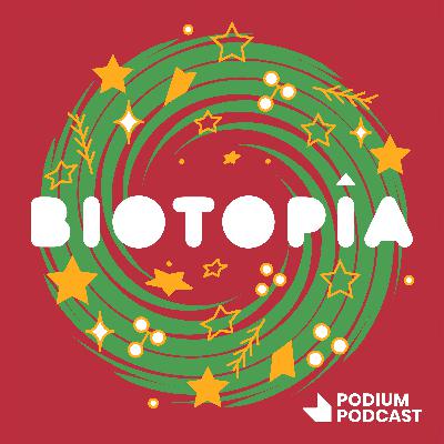 Avance del Especial de Navidad