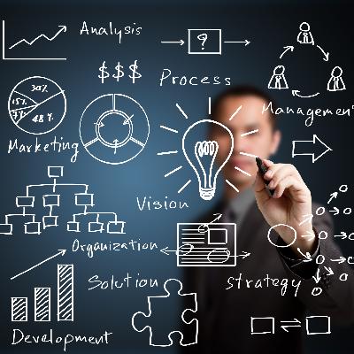 Enterprise Software Consultant