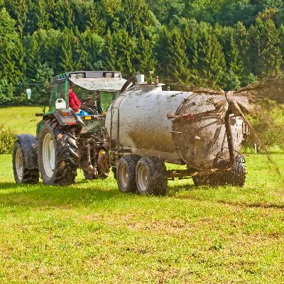 Bauer haftet für Gülleschäden nach Düngung