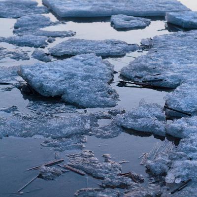 Finding peace and joy amidst climate grief