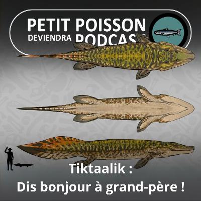 S05E09 Tiktaalik : un grand-père barboteur