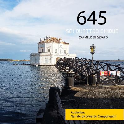 645 di Carmelo Di Gesaro - Audiolibro 645 di Carmelo Di Gesaro - Audiolibro
