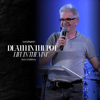 Death In The Pot, Life In The Vine | Dara O'Sullivan