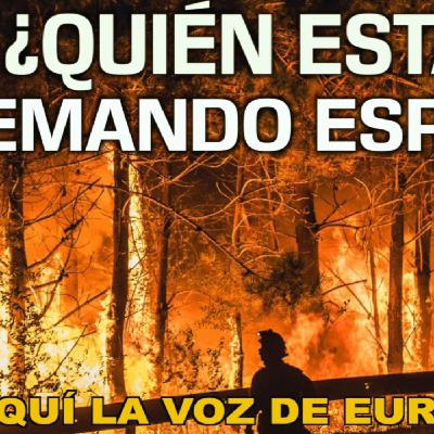 INCENDIOS ¿quién está QUEMANDO España?
