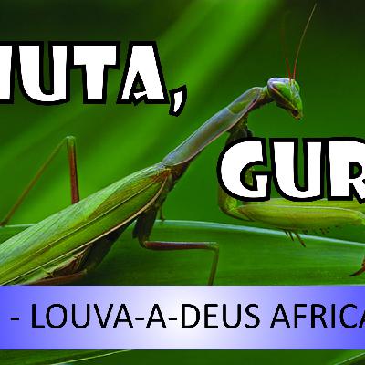Chuta, guri! - Episodio 3