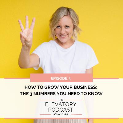 Ep3. How to grow your business - 3 numbers you need to know