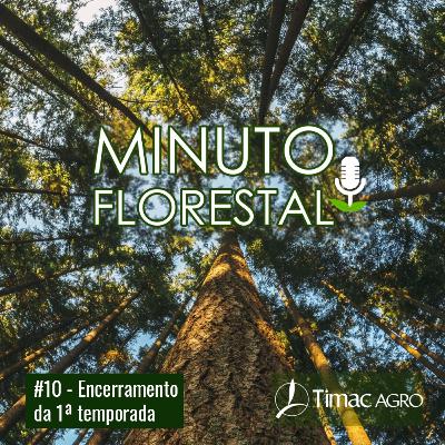 Ep. 10 – O papel da matéria orgânica e da ciclagem de nutrientes na sustentabilidade da produção florestal Ep. 10 – O papel da matéria orgânica e da ciclagem de nutrientes na sustentabilidade da produção florestal