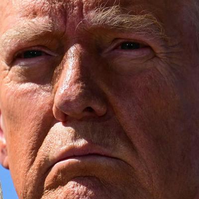 Bibi's Boys - December 16, 2025