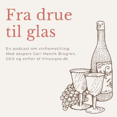 Fra drue til glas - Polyresistente ResDur-sorter
