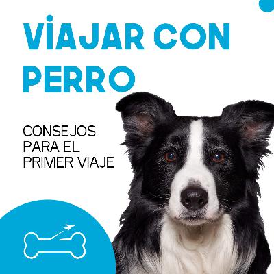 Ep 2. Consejos para el primer viaje con Adriana Rivilla @hirobordercollie