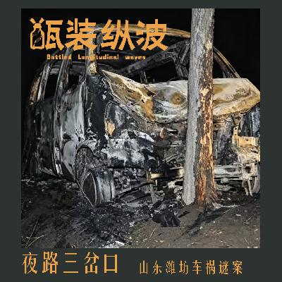 31.夜路三岔口：山东潍坊车祸谜案