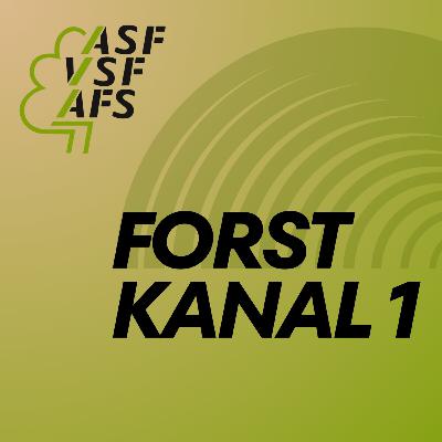 #0 — Wer wir sind und was euch bei Forstkanal 1 erwartet #0 — Wer wir sind und was euch bei Forstkanal 1 erwartet