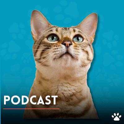 Fortalece tu vínculo con consejos de veterinarios