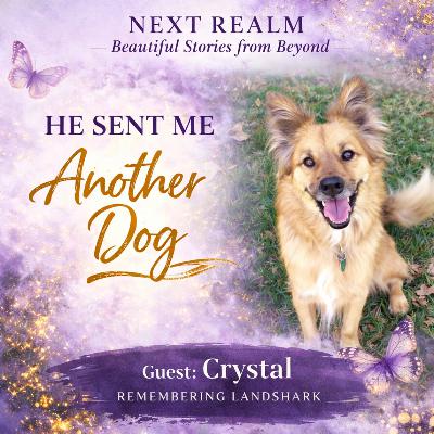 11. Messages From Beyond: Signs From a Pet After Death (Part 2) 11. Messages From Beyond: Signs From a Pet After Death (Part 2)