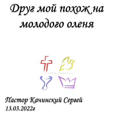 Мой друг похож на молодого оленя | Качинский Сергей | 13.03.2022