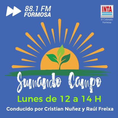 Sumando Campo 05/12/2022 - T5-E31