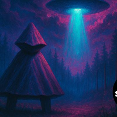 He Saw a UFO — Then the Beings Came After Him