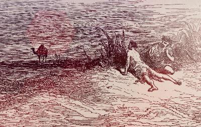 15-《Le Chameau et les bâtons flottant 骆驼与浮木》拉封丹买一赠一咯