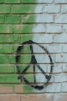 Talking Politics with Elliott Morris Talking Politics with Elliott Morris