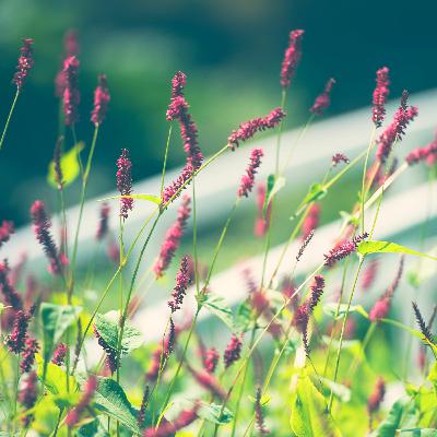 Breathe your way into wellbeing: The resonance breath Breathe your way into wellbeing: The resonance breath