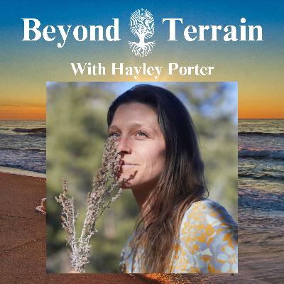 Hayley Porter on Iridology, Eye Patterns, The Microcosm of the Body and Seeing Health Differently