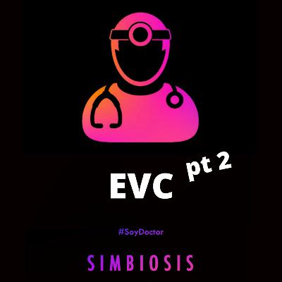 EVC pt. 2