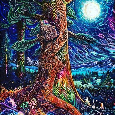 Nature in Lockdown & Grand Forces of Gaia - Part 1