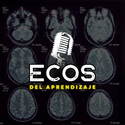 ECOS DEL APRENDIZAJE ECOS DEL APRENDIZAJE