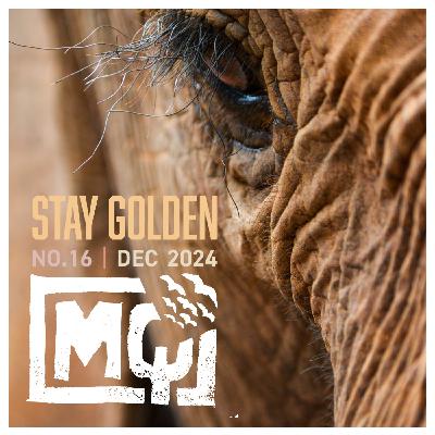 EPISODE 007: STAY GOLDEN