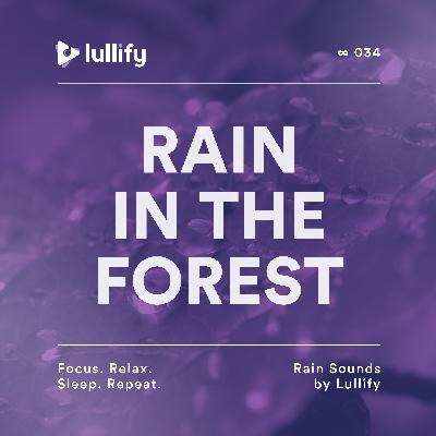 Rain in the Forest - 1 Hour of Raindrops for Unwinding | Rain Sounds by Lullify | ∞ 034