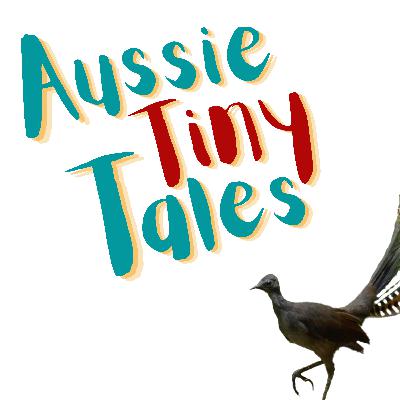 Episode 63: the Superb Lyrebird’s Letter to Santa 🎅🏻