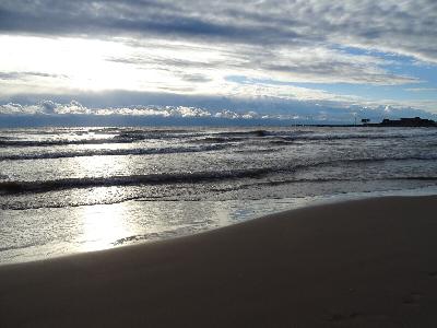 Some of the Wisconsinites working for environmental change in 2025 and beyond Some of the Wisconsinites working for environmental change in 2025 and beyond