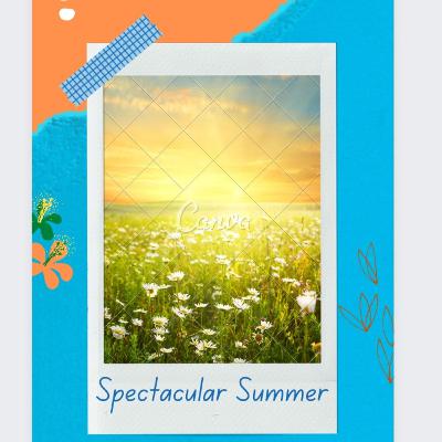 Songs I reccomend listening to....Episode 9...Spectacular Summer