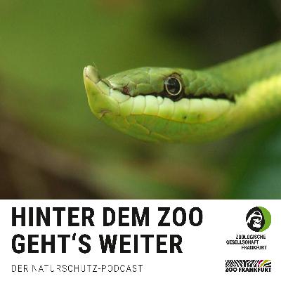 Vom Toxin zur Tablette: Geheimnis der Gifte Vom Toxin zur Tablette: Geheimnis der Gifte