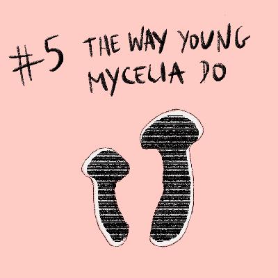 Mushroom - Chapter 5: The Way Young Mycelia Do