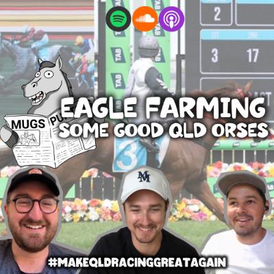 Eagle Farming some good QLD 'orses