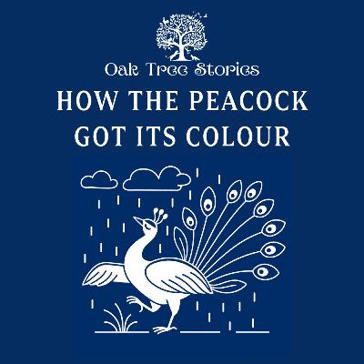 How The Peacock Got Its Colours How The Peacock Got Its Colours