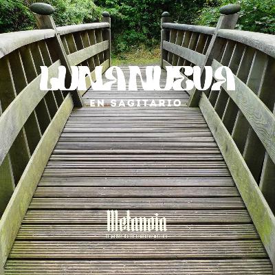 ✨ Luna Nueva en Sagitario — ♐🌑